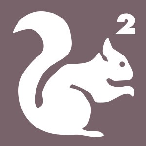 Eichhörnchen 2