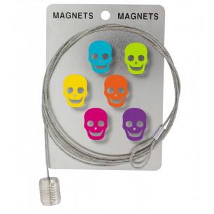 Photo holder cable and magnets - Magnetic Cable Sapiens