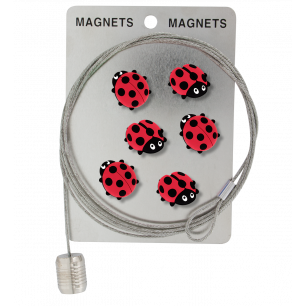 Photo holder cable and magnets - Magnetic Cable Ladybird