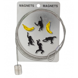 Photo holder cable and magnets - Magnetic Cable Jungle