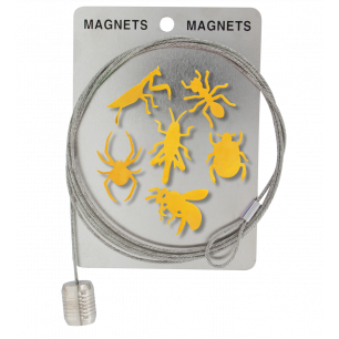 Câble porte photos et magnets - Magnetic Cable Insecte Or