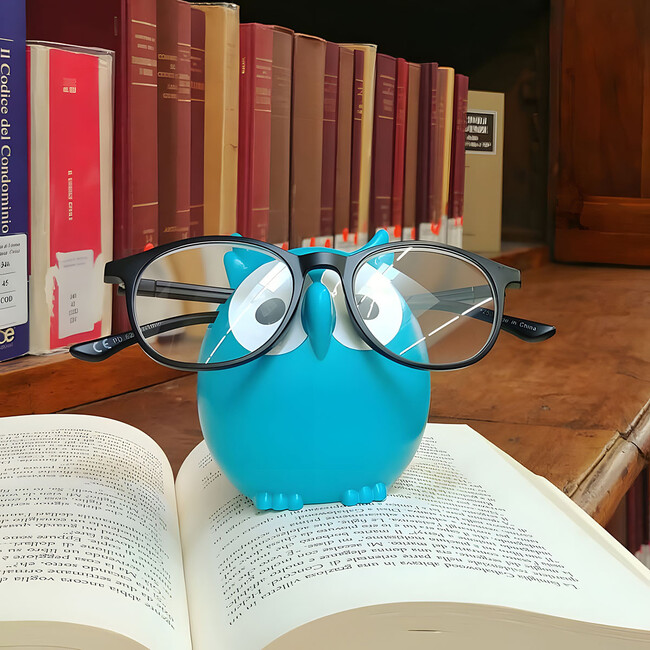 Glasses holder - Owl